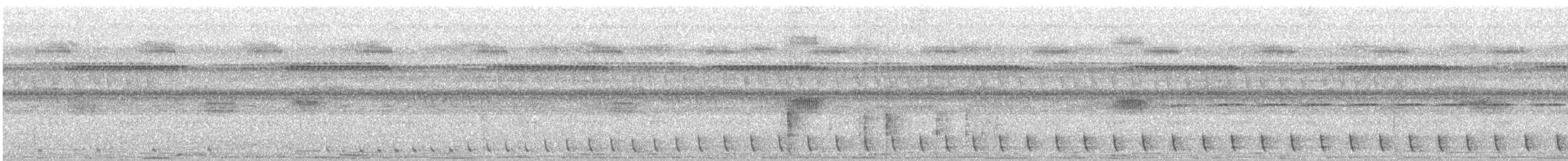 Natalnachtschwalbe - ML646403305