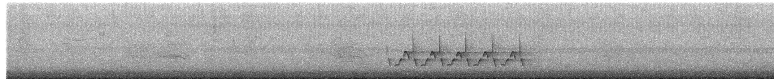 Carolinazaunkönig - ML646403393