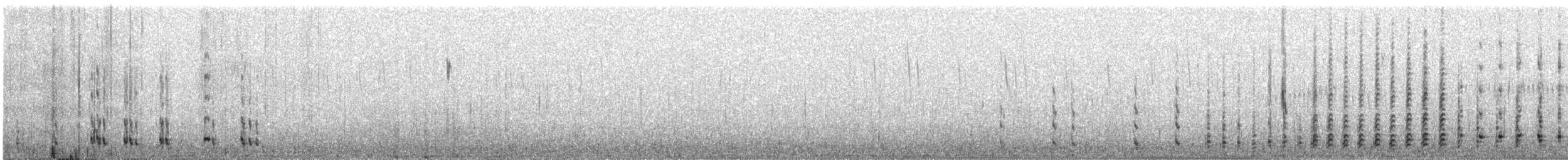 Andengans - ML646404118