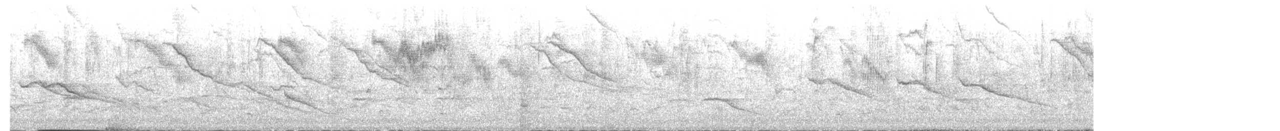 Storno - ML646404776