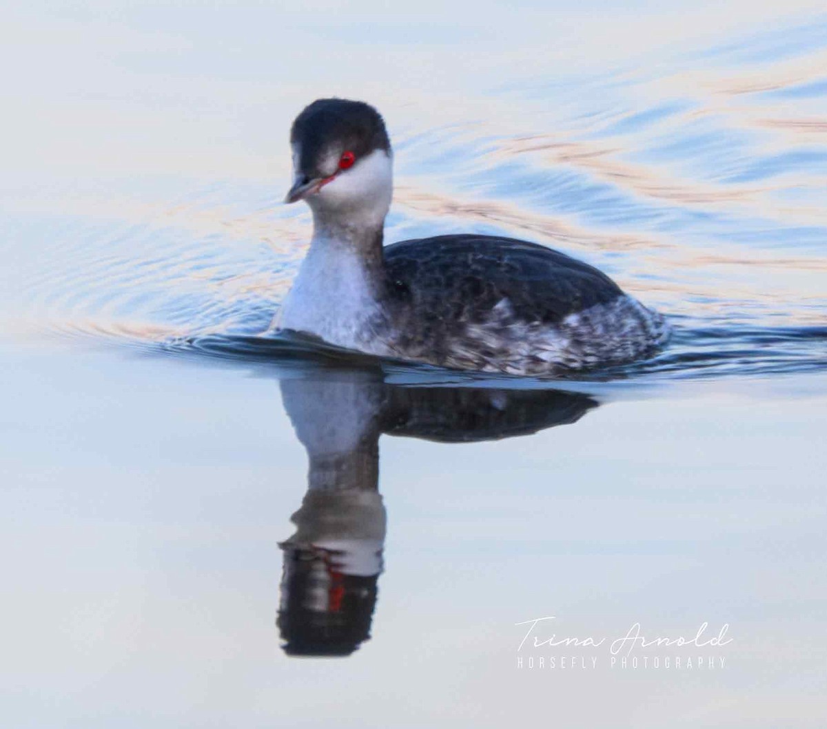 Ухаа шунгуур - ML646405227