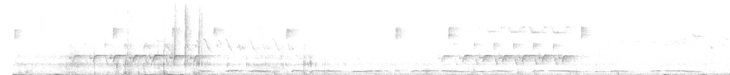 Carolina Wren - ML646405326