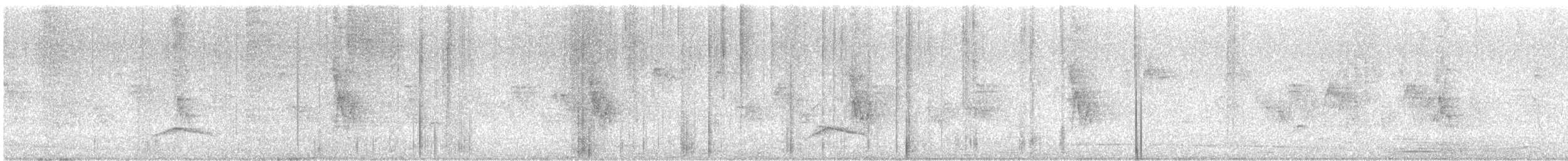 Large Elaenia - ML646405350