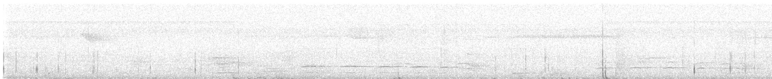 Batará Murino - ML646405685