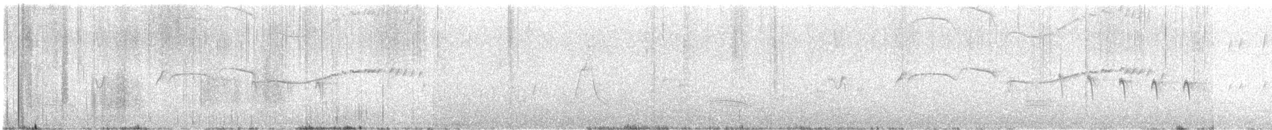 Suiriri Flycatcher - ML646406706