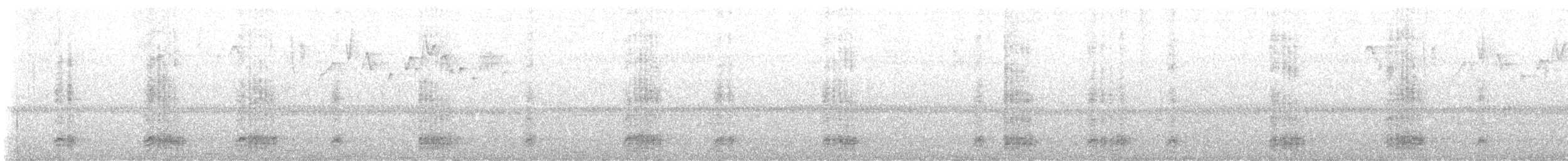 arassari modropruhý - ML646407119