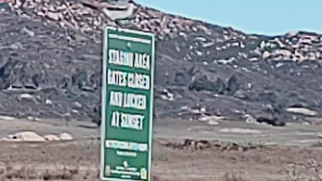 Loggerhead Shrike - ML646407135