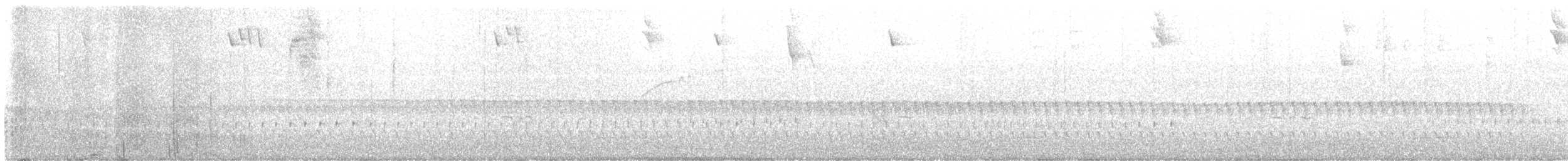 Trilling Tapaculo - ML646407164