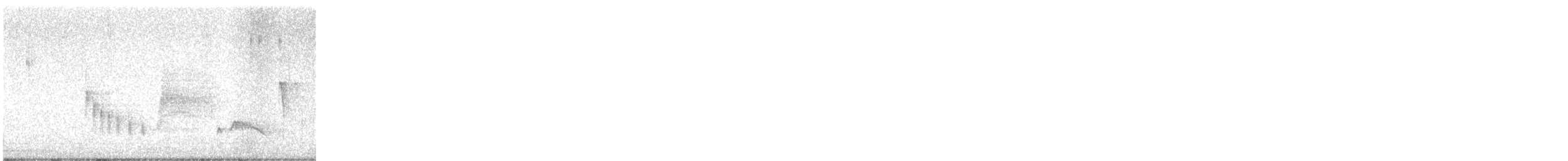 White-eyed Vireo - ML646407341