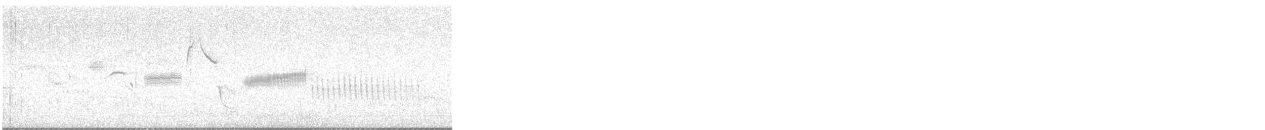 シロハラミソサザイ - ML646407428