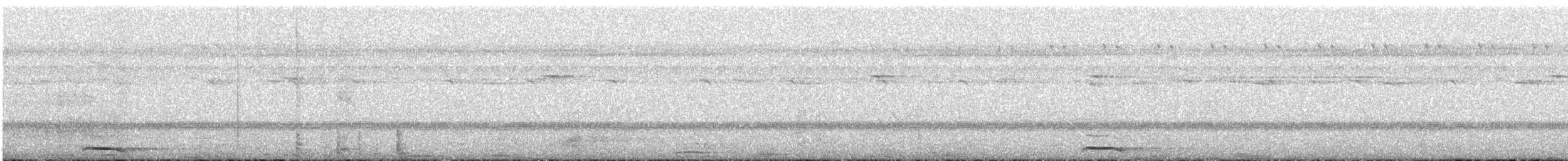 White-browed Owl - ML646407488