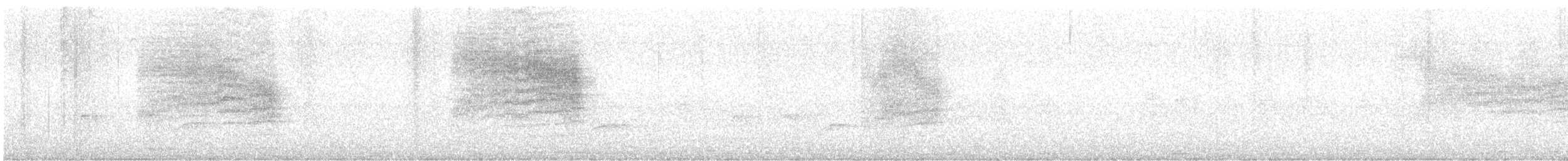 Southern House Wren - ML646407523