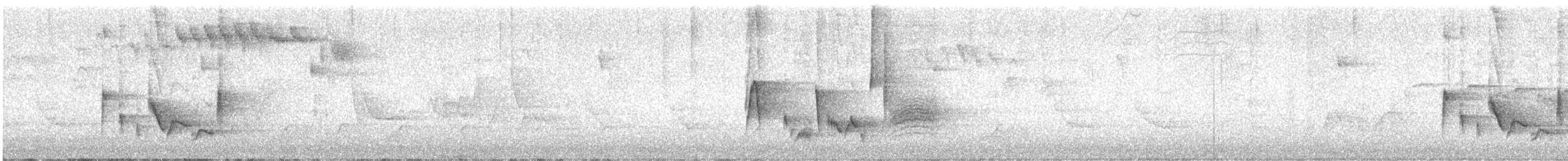 White-eyed Vireo - ML646408055