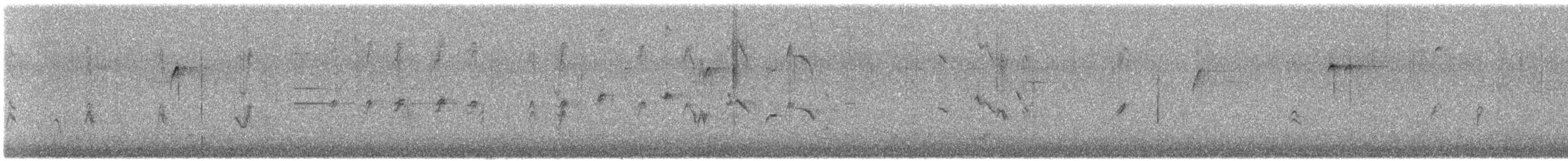 House Finch - ML646408229