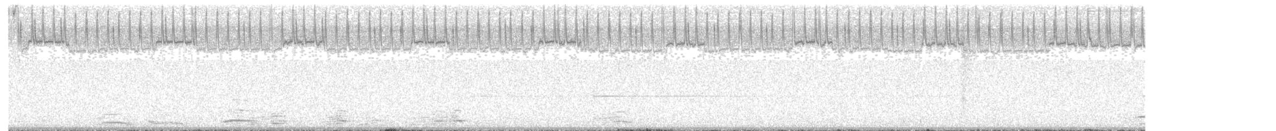 Tundra Swan - ML646408407