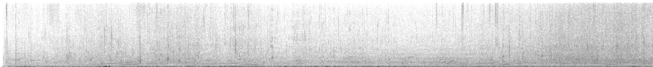 Eiderente - ML646408546