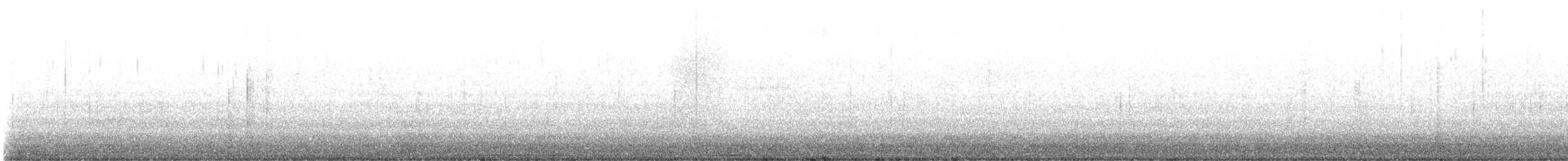 husa labutí (domestikovaná) - ML646409012