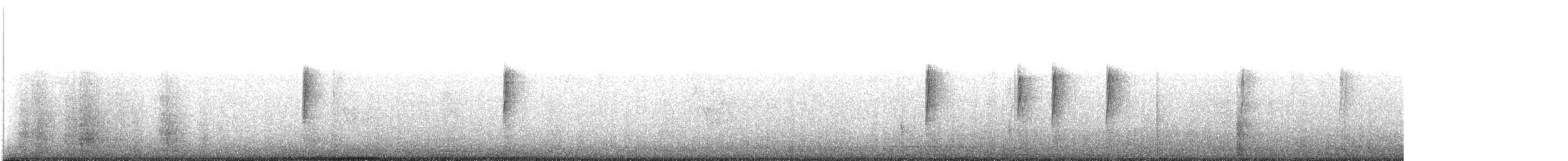 Yellow-rumped Warbler (Audubon's) - ML646409074