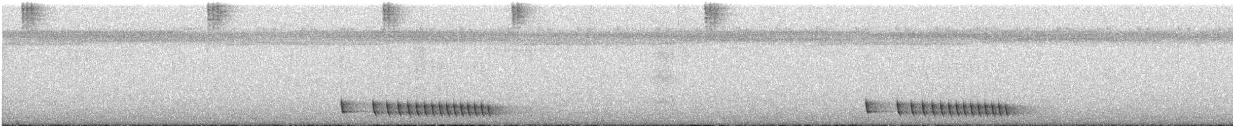 Madagascar Nightjar - ML646409912