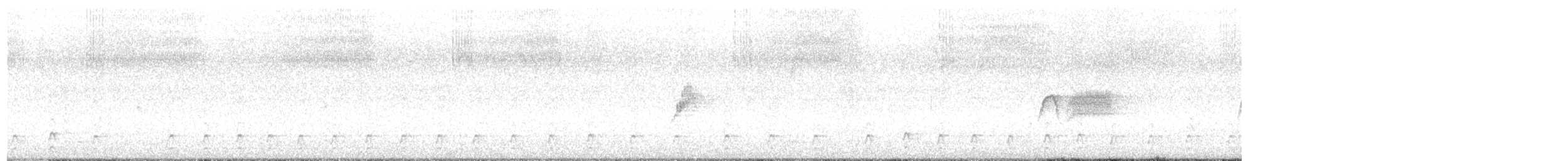 Pileated Woodpecker - ML646410651