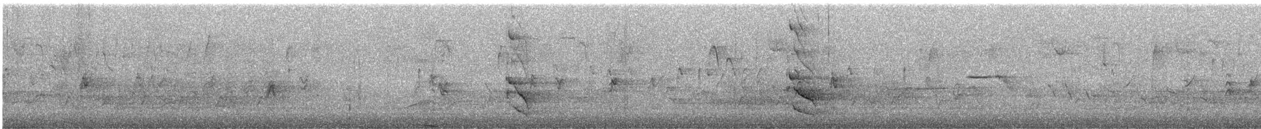 Northern Flicker - ML646410853