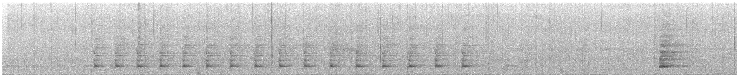 Bearded Bellbird - ML646411315