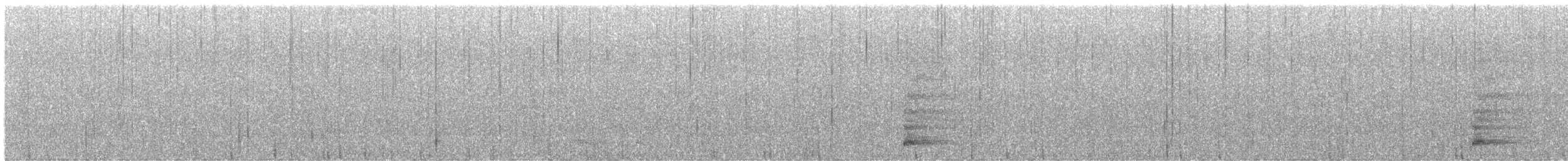 Bearded Bellbird - ML646411316