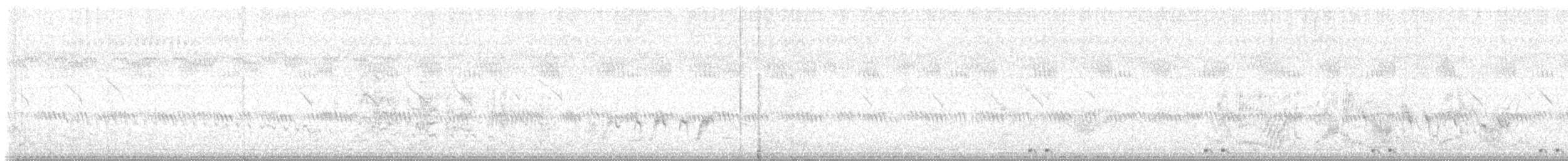 Black Coucal - ML646411384