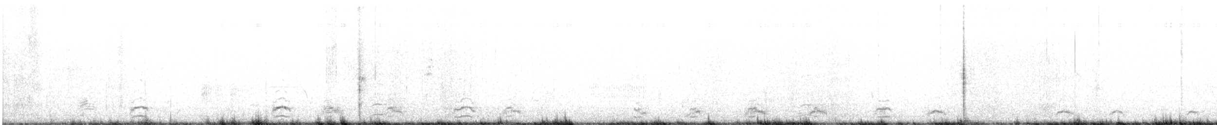 Snow Goose - ML646411970