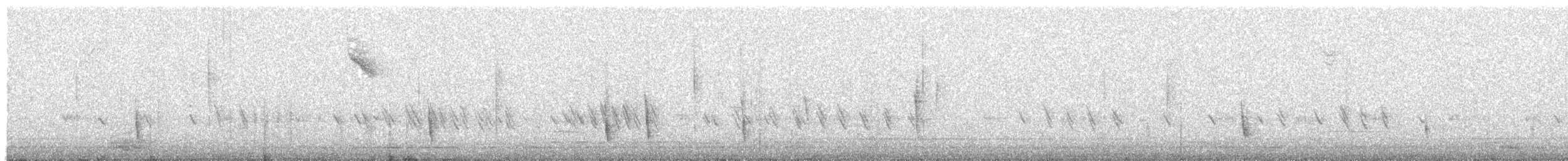 Hermit Thrush - ML646412109