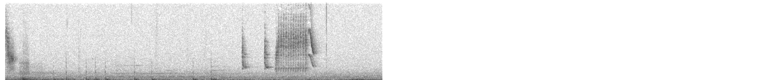 Marsh Wren (plesius Group) - ML646412115