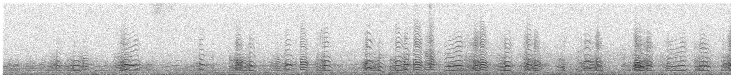 Canada Goose - ML646412131