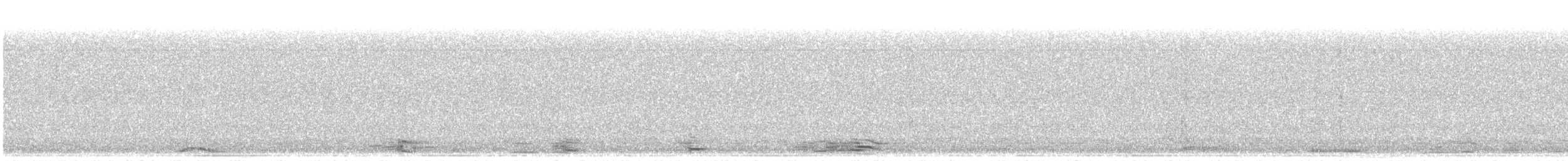 Tundra Swan - ML646412149