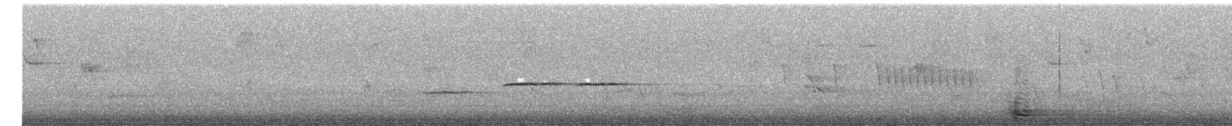 White-throated Sparrow - ML646412677