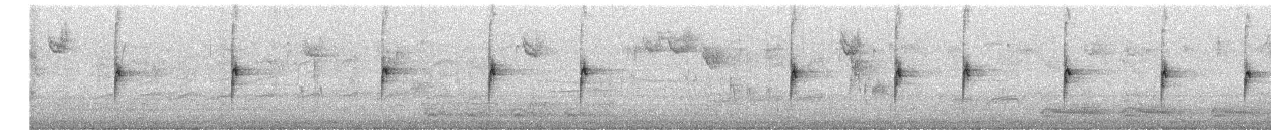 White-throated Sparrow - ML646412678