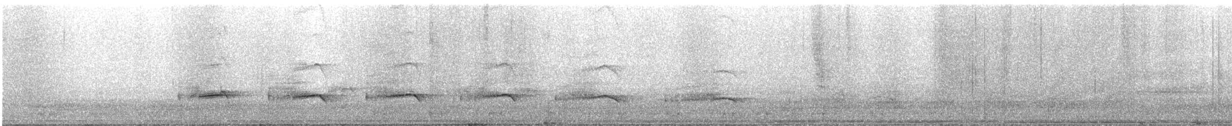 Water Rail - ML646412790