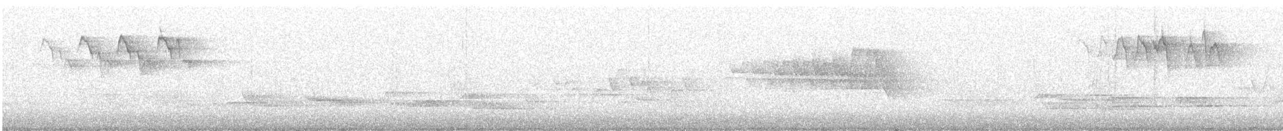 Bay-breasted Warbler - ML646413024