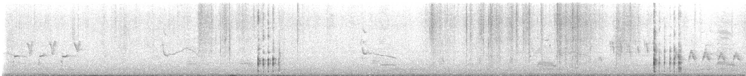 Tasmanian Nativehen - ML646413135