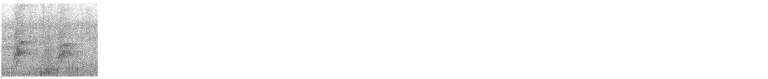 Plum-headed Parakeet - ML646413309