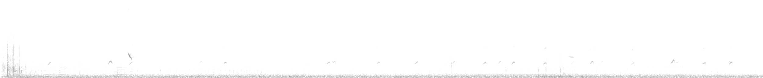 Bar-tailed Lark - ML646413474