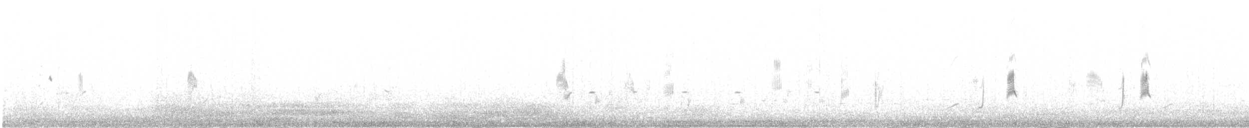 Bar-tailed Lark - ML646413534