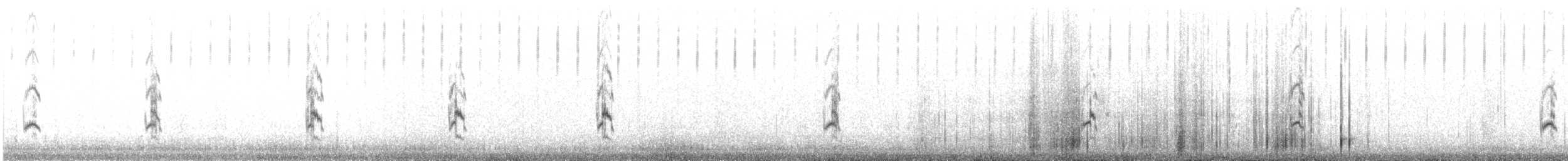 Bar-tailed Lark - ML646413908