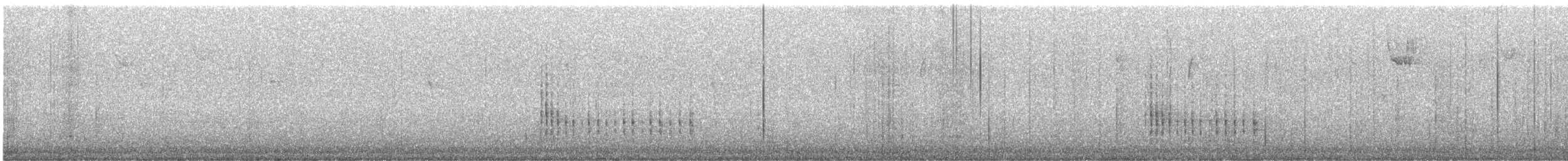 Belted Kingfisher - ML646414025