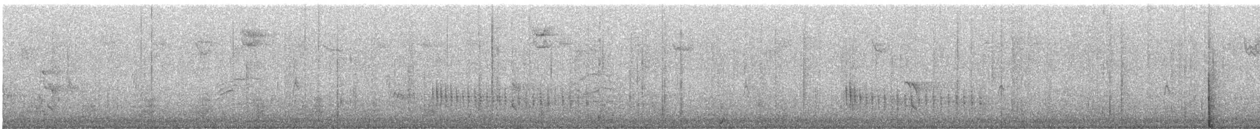 Belted Kingfisher - ML646414026