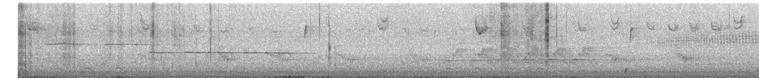 White-throated Sparrow - ML646414035