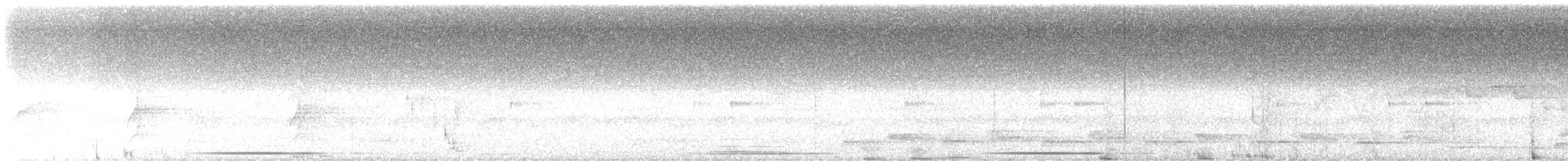 Gray-fronted Dove - ML646414051