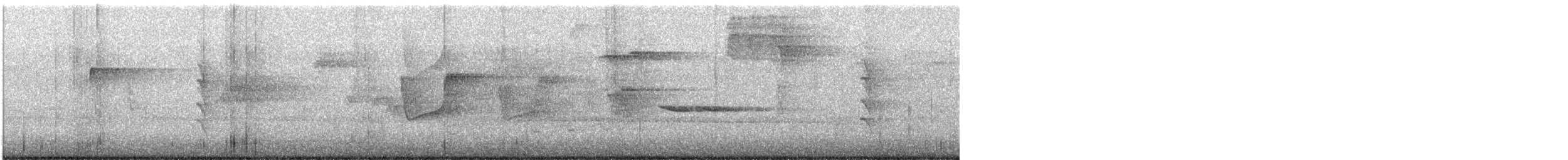 Forest Elaenia - ML646414363