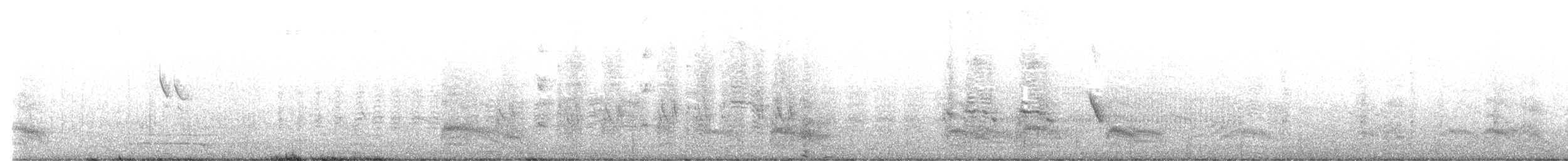 Cape Weaver - ML646414568