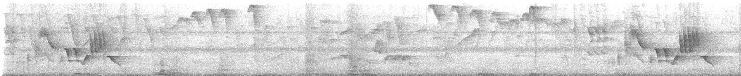 Southern House Wren - ML646414707