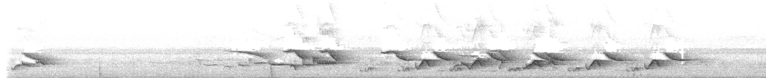 White-browed Robin-Chat - ML646414816